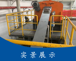 QPQҺ�w�����t